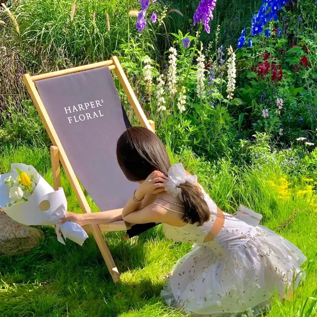 歌手 我们的歌手